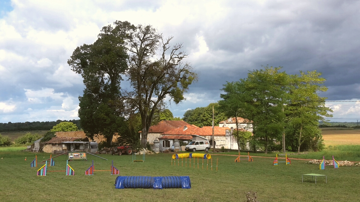 agility3